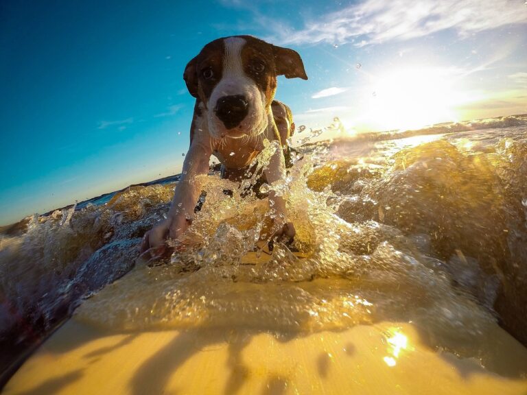 selfie