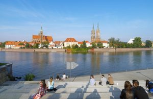 Ce inseamna cand visezi pisici interpretari si semnificatii