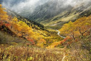 zonele climatice ale terrei