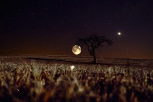 planeta venus curiozitati